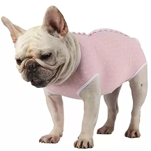 Etdane Dog Diapers Sanitary Panties Physiological Period Shirts Surgical Recovery Suits for Male and Female Dogs Pink Polka Dots/XS
