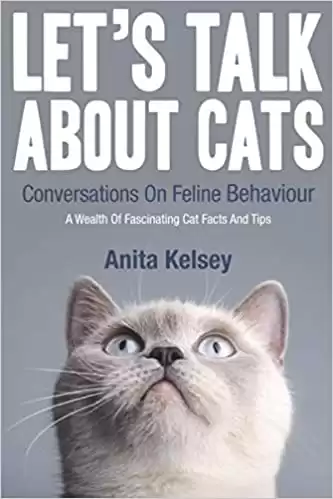 Let's Talk About Cats: Conversations On Feline Behaviour