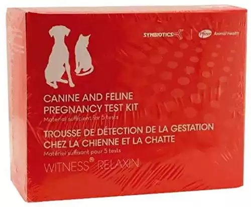 Synbiotics Canine and Feline Pregnancy Test Kit