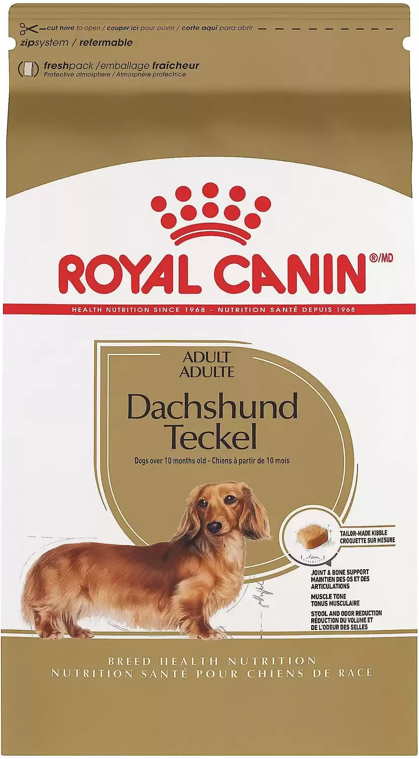 Dachshund food clearance allergies