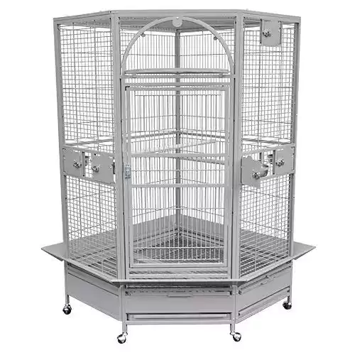 Kings Cages Corner Parrot Cage
