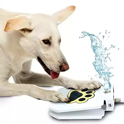 Trio Gato Dog Outdoor Dog Step-On Water Fountain