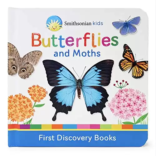 Butterflies and Moths (Smithsonian Kids First Discovery Books)