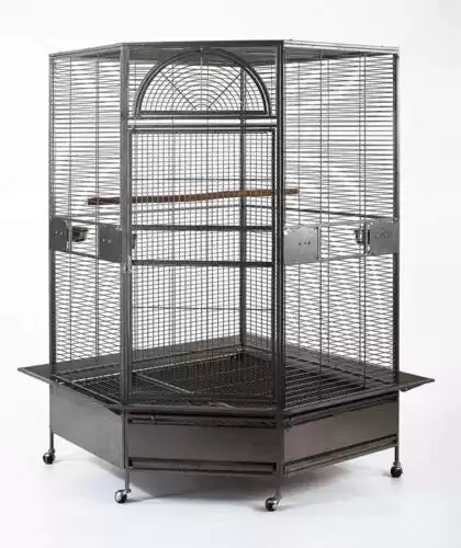 Seny Parrot Escape Jumbo Corner Cage