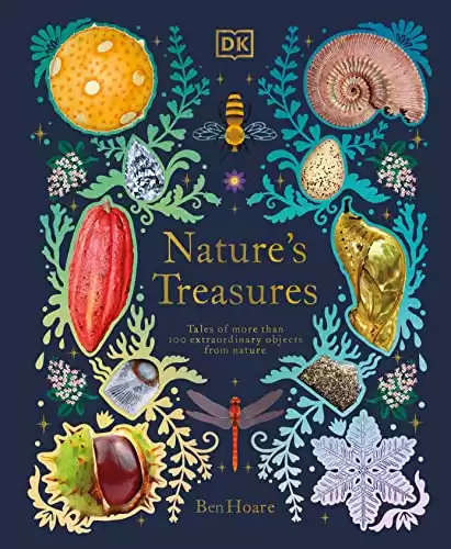 Nature’s Treasures: Tales Of More Than 100 Extraordinary Objects From Nature (DK Treasures)
