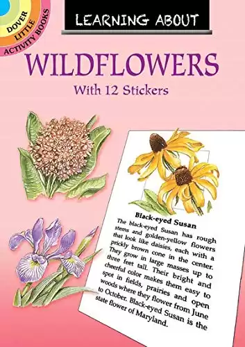 Learning About Wildflowers (Dover Little Activity Books)