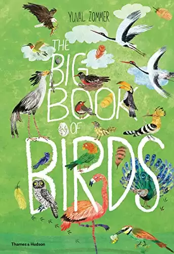 Big Book of Birds (The Big Book Series)