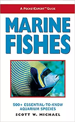 Marine Fishes: 500+ Essential-To-Know Aquarium Species