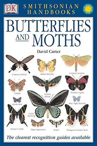 Handbooks: Butterflies & Moths: The Clearest Recognition Guide Available (DK Smithsonian Handbook)