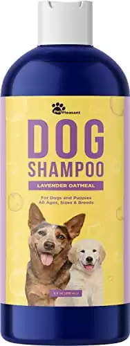 Honeydew Colloidal Oatmeal Dog Shampoo