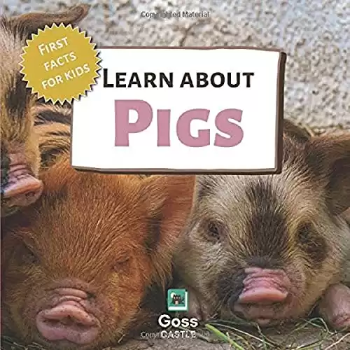 Learn About Pigs - First Facts for Kids
