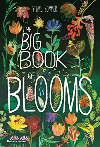 Big Book of Blooms (The Big Book Series)