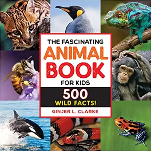 The 7 Best Books About Animals - Ranked by Difficulty - AZ Animals