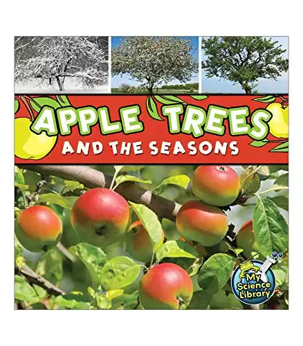 Apple Trees and The Seasons