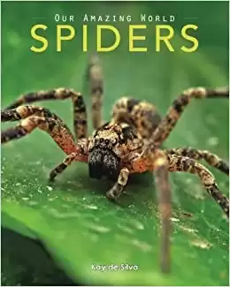 Spiders: Amazing Pictures & Fun Facts on Animals in Nature