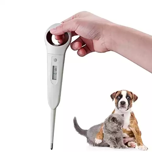 aurynns Pet Thermometer