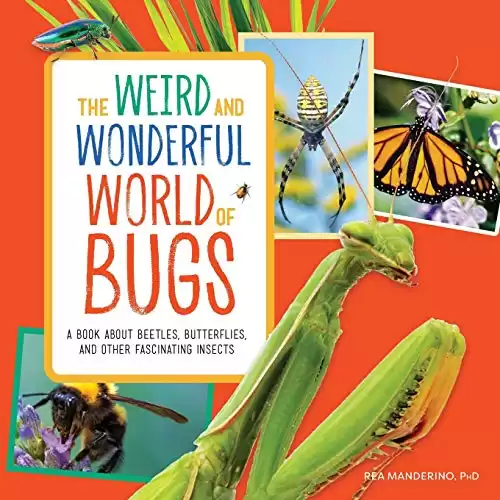 The Weird and Wonderful World of Bugs: A Book About Beetles, Butterflies, and Other Fascinating Insects