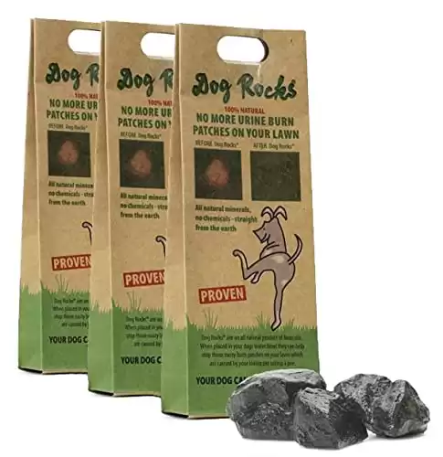 Dog Rocks Prevent Grass Burn Spots from Pet Urine