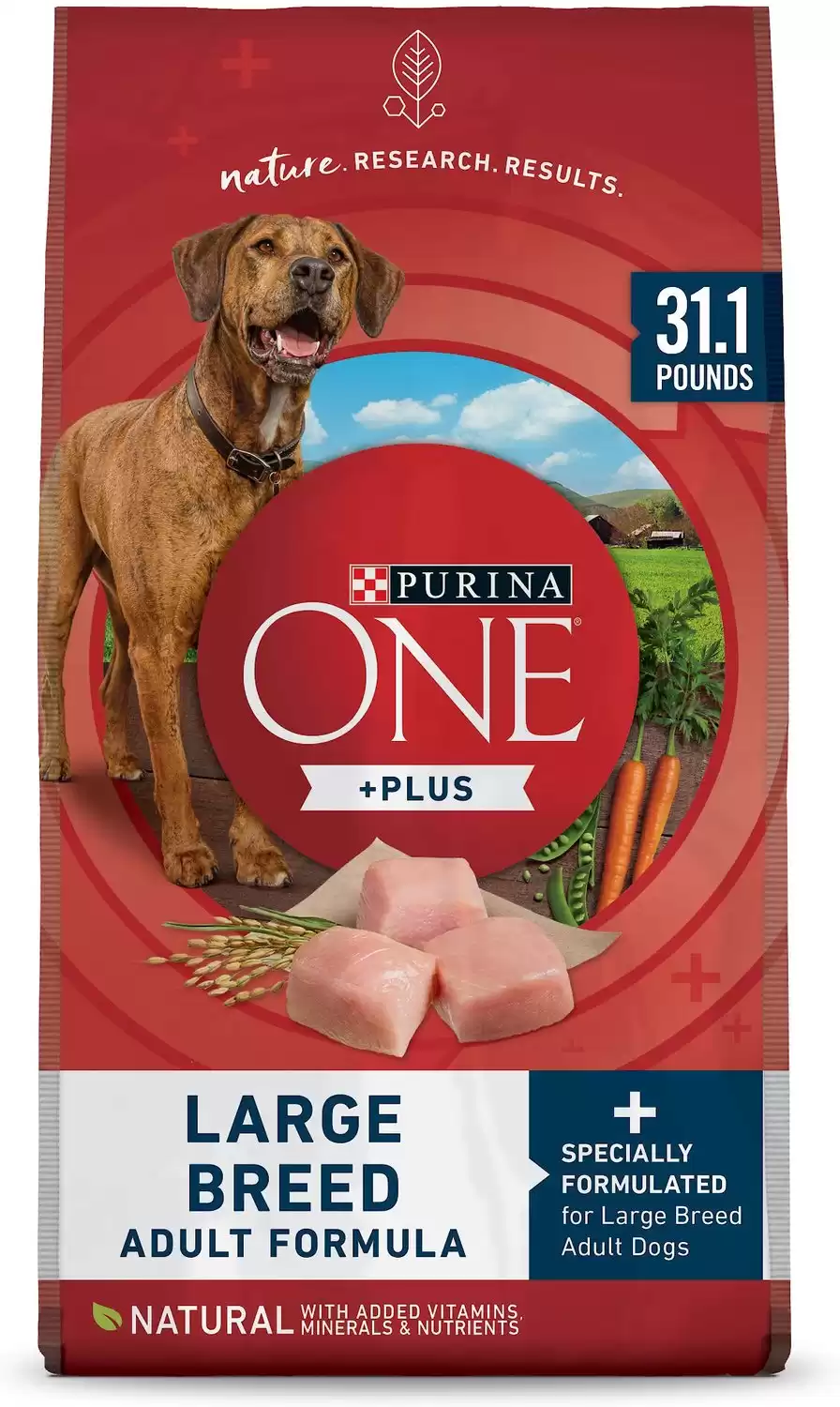 Purina ONE Natural Large Breed +Plus
