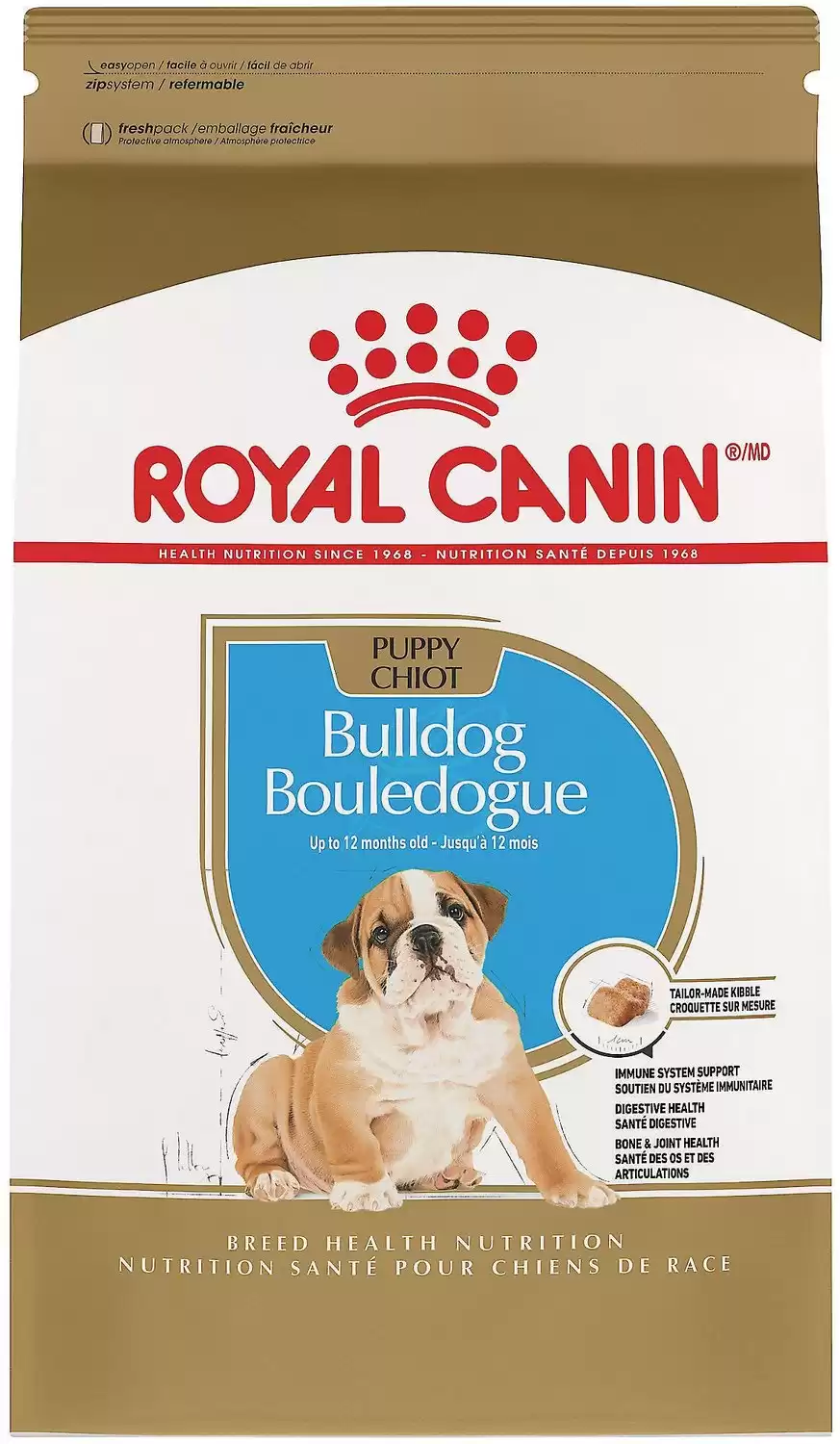 English bulldog best discount food