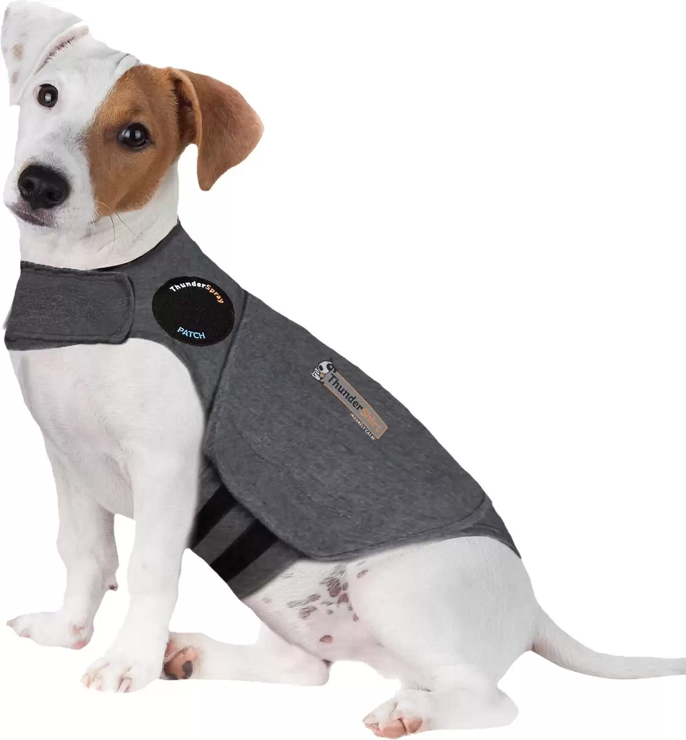 Calming vest hotsell for dogs reviews