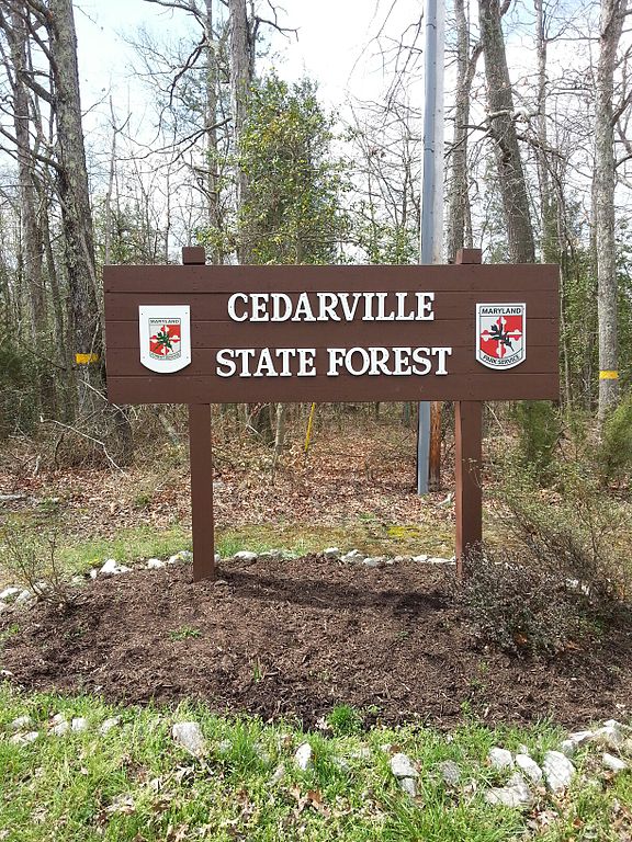 Cedarville State Forest