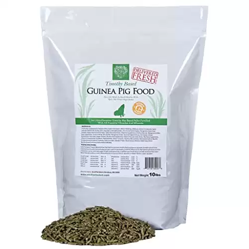Small Pet Select Guinea Pig Food Pellets, 10 Lb.