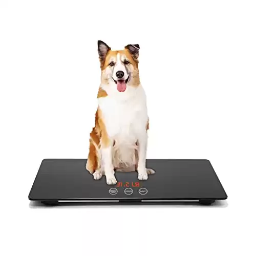 Small Puppy Measure Scale Weight