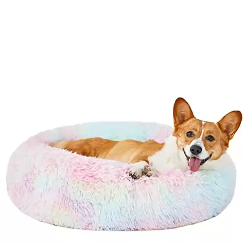 HACHIKITTY Dog Beds - Calming Donut Bed