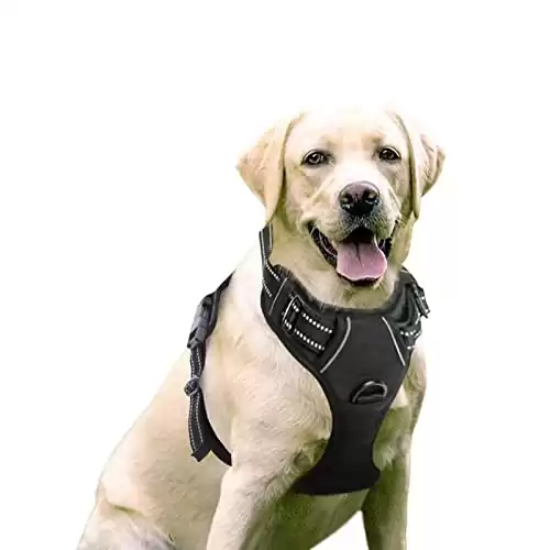 Rabbitgoo No-Pull Dog Harness with Two Leash Clips