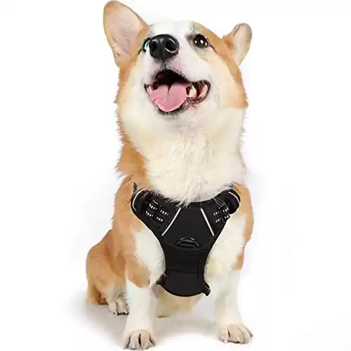 Rabitgoo No-Pull Dog Harness