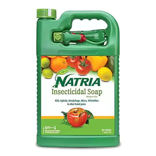 Natria 820042A Insecticidal Soap Insect Killer
