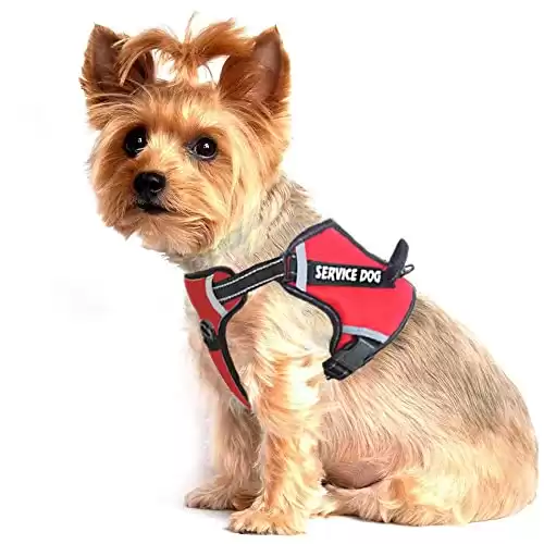 LMOBXEVL Service Dog Harness
