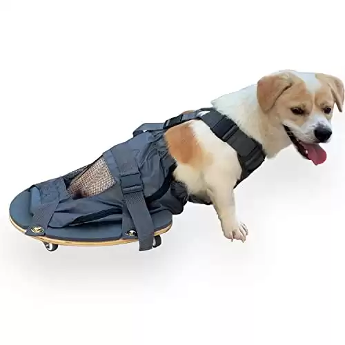 derYEP Pet Scooter Wheelchair