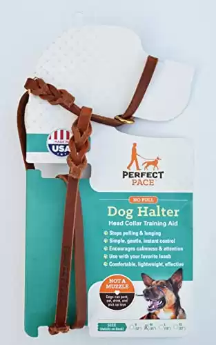 Perfect Pace Leather Halter