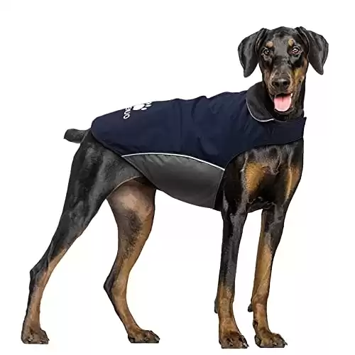 IREENUO 100% Waterproof Dog Raincoat for Fall/Winter