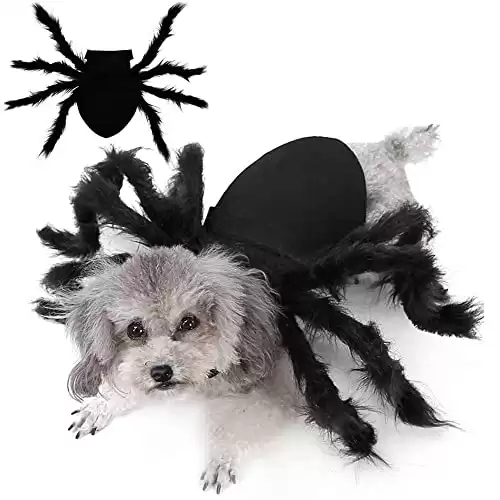 Mailer Furry Giant Spider Dog Costume