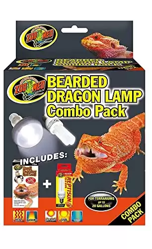 Zoomed Bearded Dragon Combo Lighting