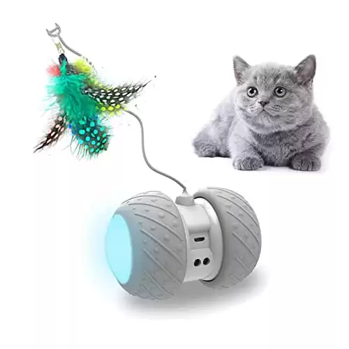PetDroid Cat Toy