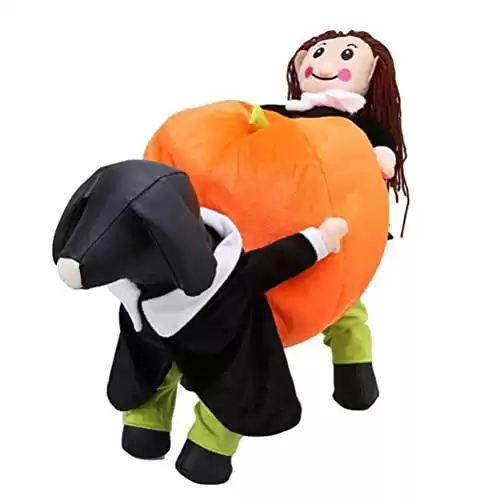 KASQA Dog Carrying Pumpkin Costume