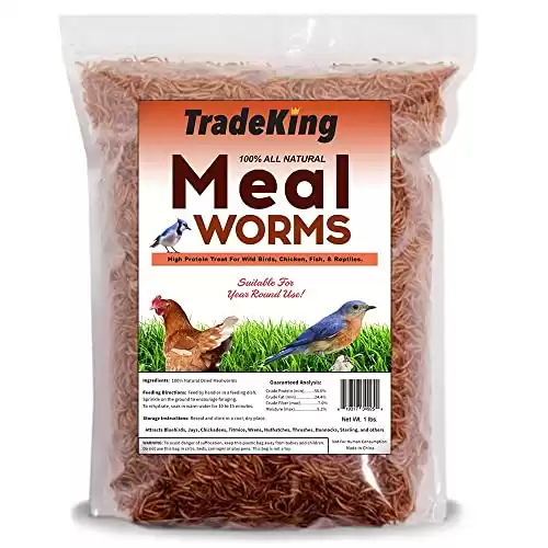 TradeKing Dried Mealworms - High Protein Treat