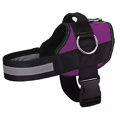 Joyride No-Pull Harness for Dogs