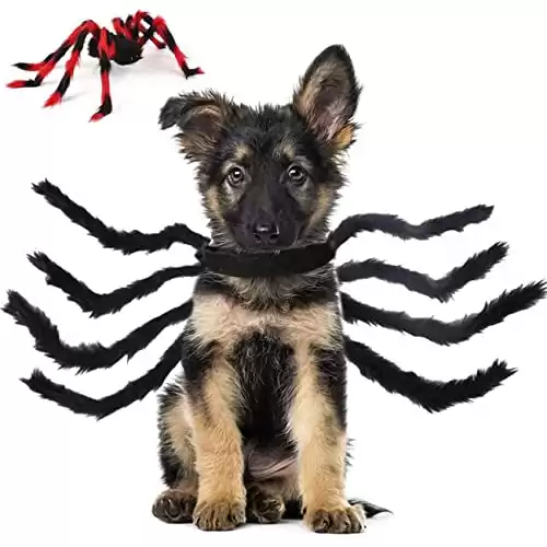 Changeary Dog Spider Costume