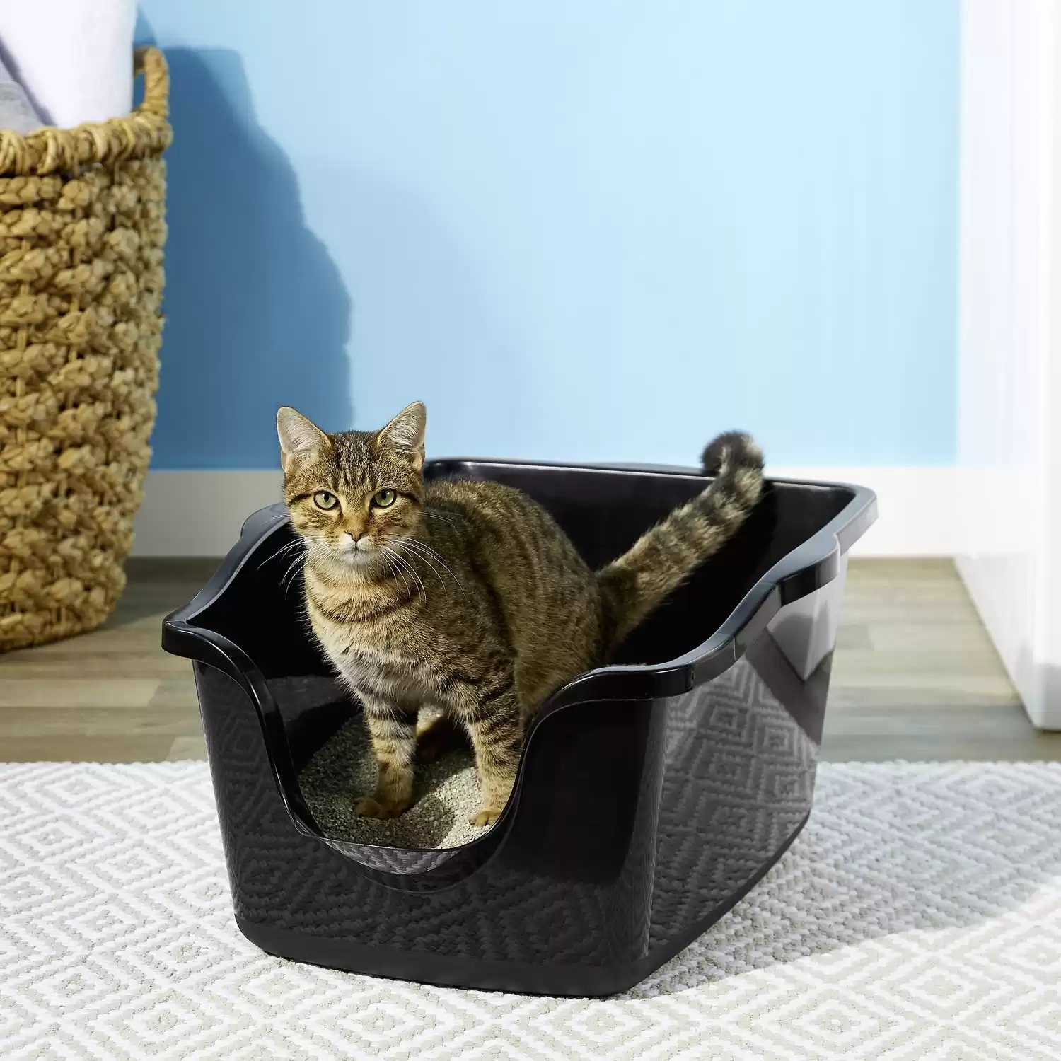 Nature's Miracle Advanced High Sided Cat Litter Box