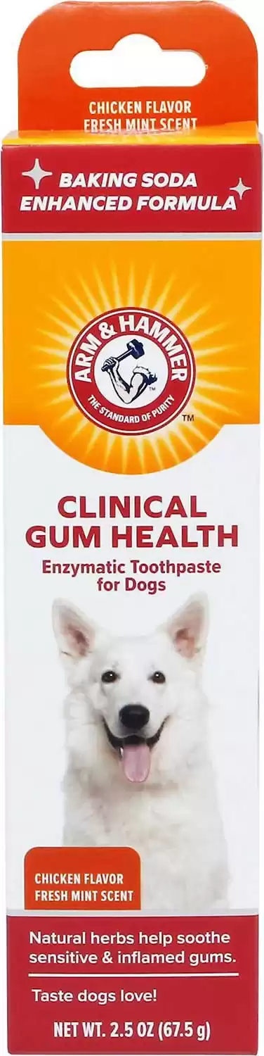 Arm & Hammer Clinical Gum Health Enzymatic Dog Toothpaste