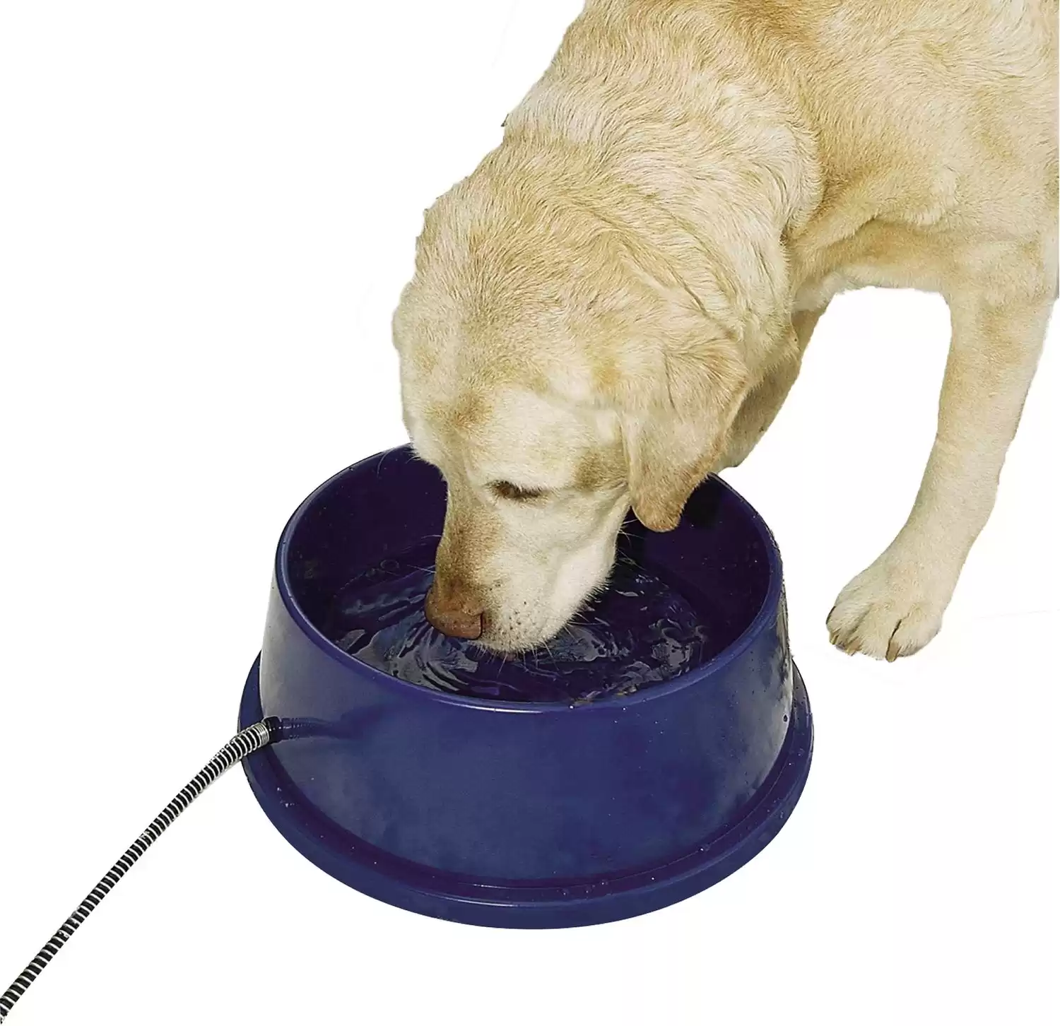 K&H Pet Products Thermal Plastic Dog & Cat Bowl