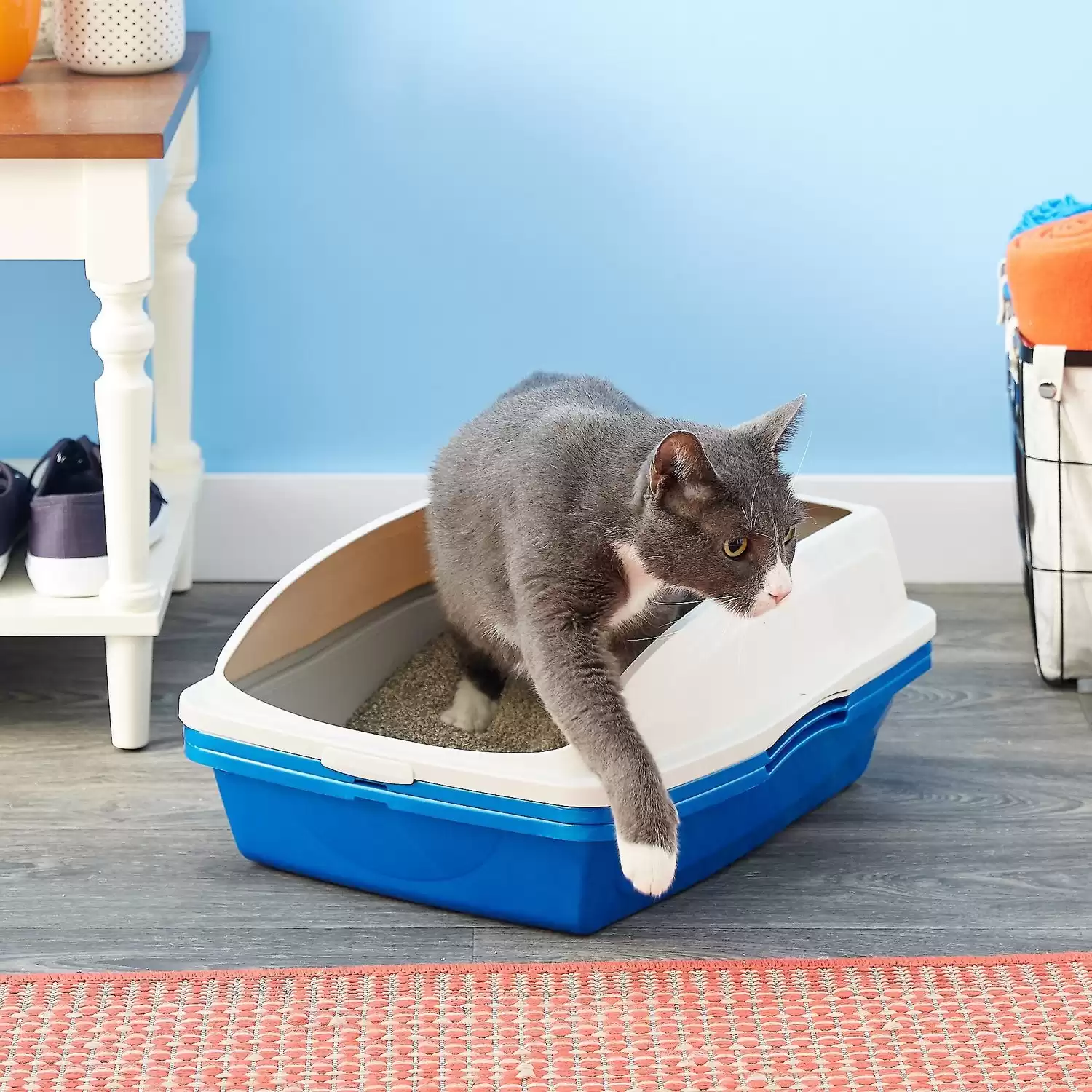 Van Ness Sifting Cat Pan with Frame