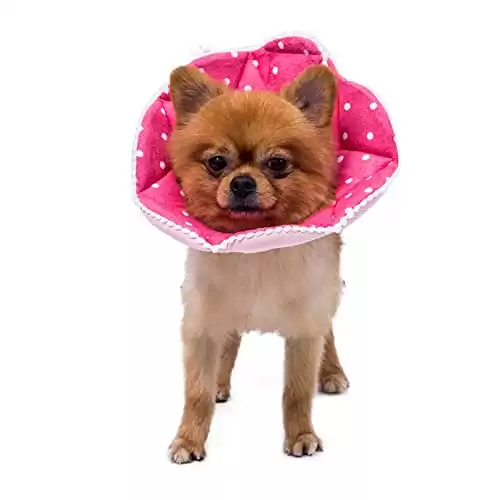 WZ PET Soft Adjustable Dog Cone