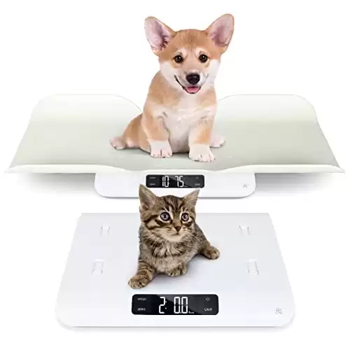 MINDPET-MED Digital Pet Scale for Small Animal, Whelping Scale,Mini  Precision Gram Weight Balance Scale, High Precision 1g, Suitable for  Newborn Pets