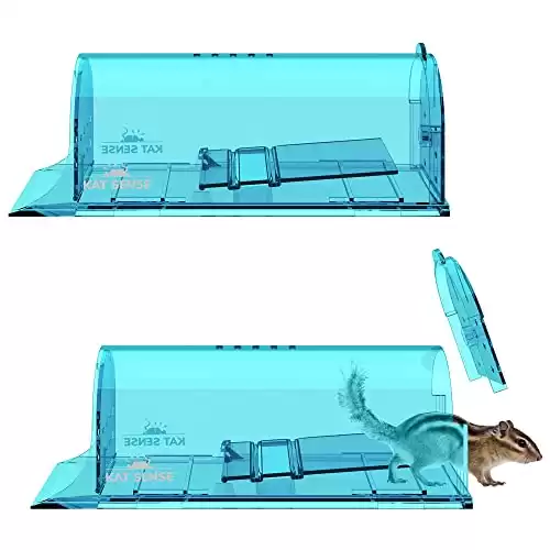 Large Humane Rat Traps, Set of 2